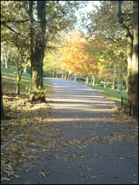 Park in Autumn image021