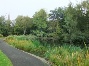 A view of the wildlife pond in Queens Park