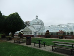 The Glasshouse at Queens Park a spot to relax and have a coffee or look at the fish or the wee small creatures